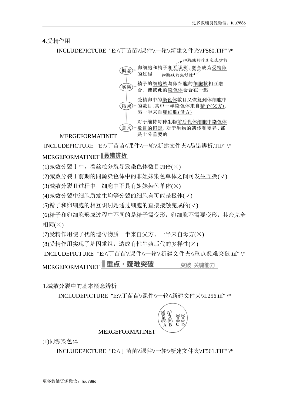 第11讲 减数分裂和受精作用.doc_第3页