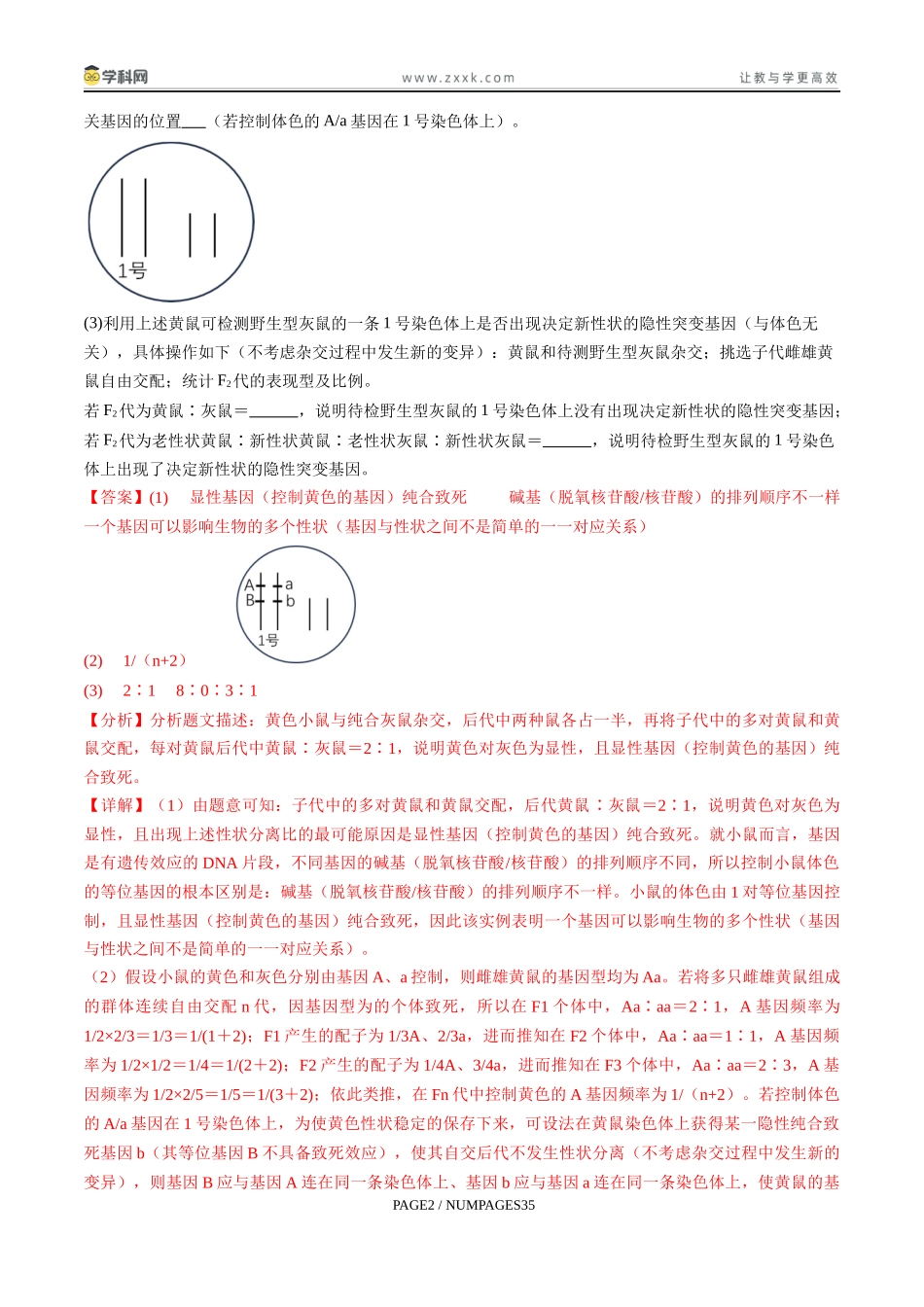 压轴题02 遗传与变异(解析版).docx_第2页