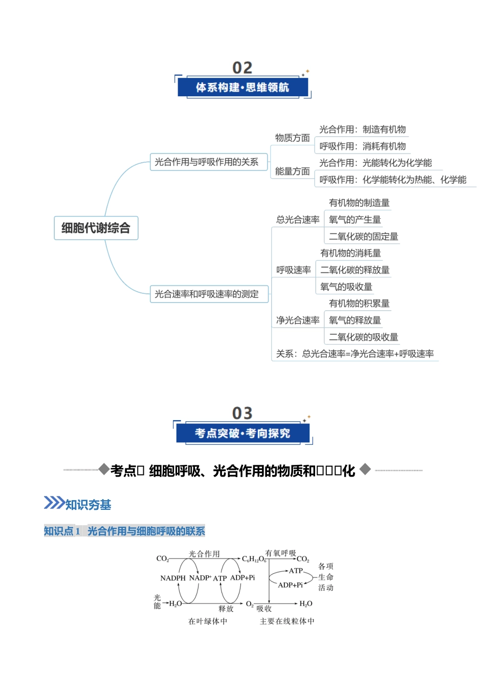 第11讲 细胞代谢综合分析（复习讲义）（全国通用）（教师版）.docx_第3页
