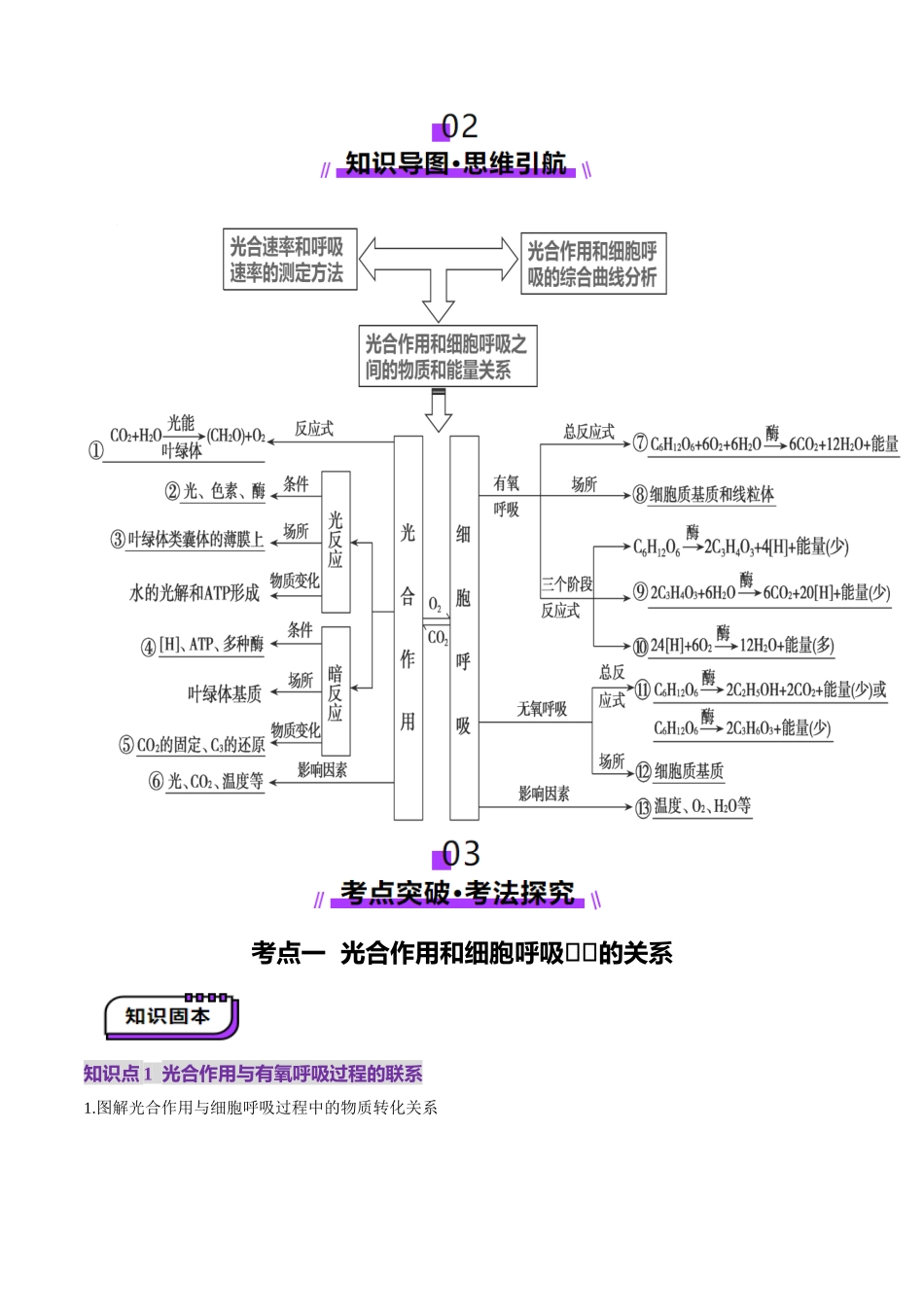 第11讲 细胞代谢综合分析（讲义）（教师版）.docx_第2页