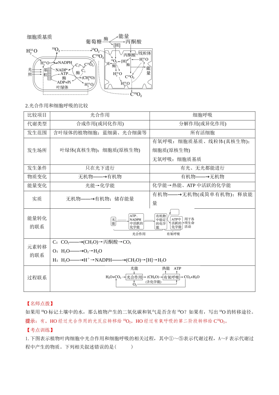 第11讲 细胞代谢综合分析（讲义）（教师版）.docx_第3页