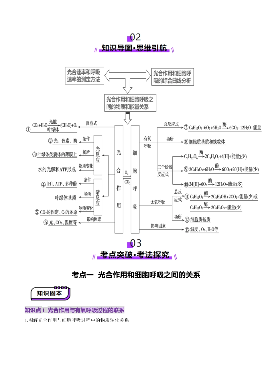 第11讲 细胞代谢综合分析（讲义）（学生版）.docx_第2页