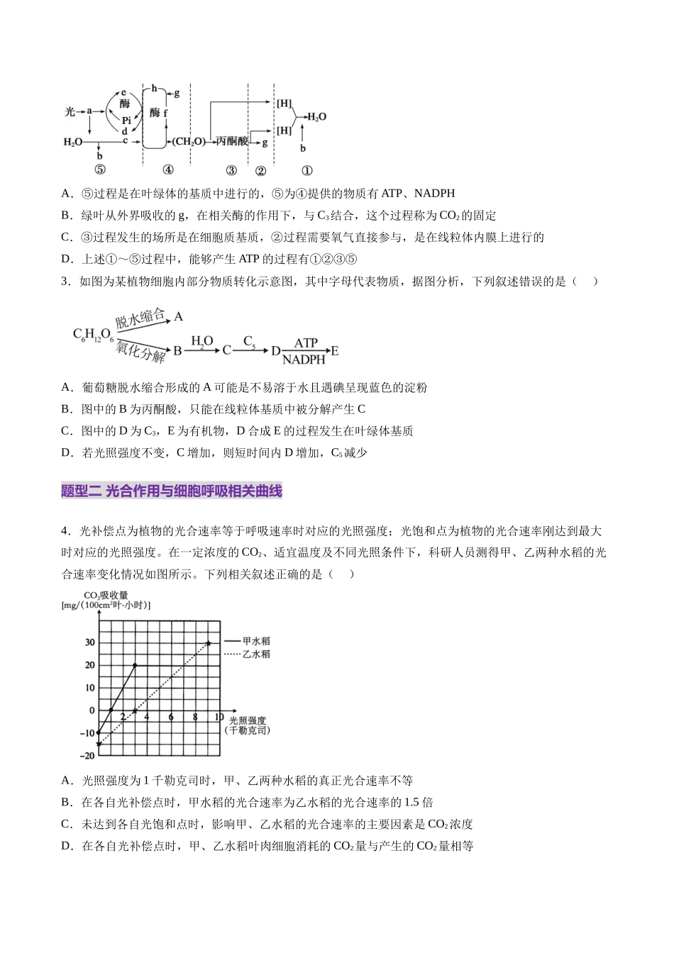 第11讲 细胞代谢综合分析(练习)(学生版).docx_第2页