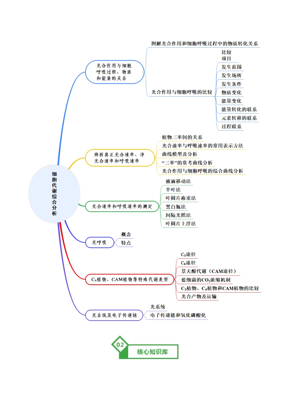 第11讲 细胞代谢综合分析(知识清单)(全国通用)(学生版).docx_第2页