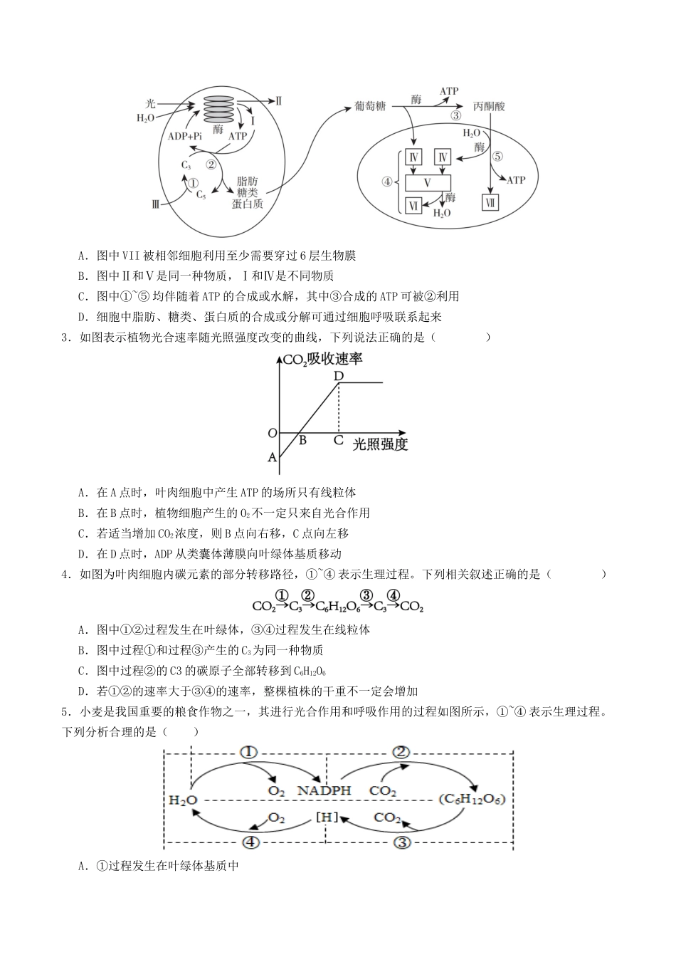 第11讲 细胞代谢综合分析(专项训练)(学生版).docx_第2页