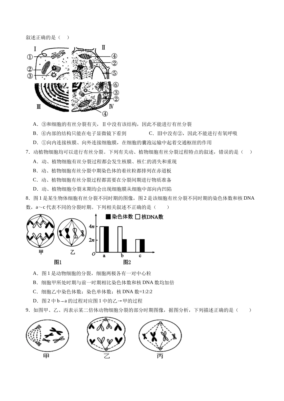 第11讲 细胞增殖(专项训练)(黑吉辽蒙专用)(学生版).docx_第3页