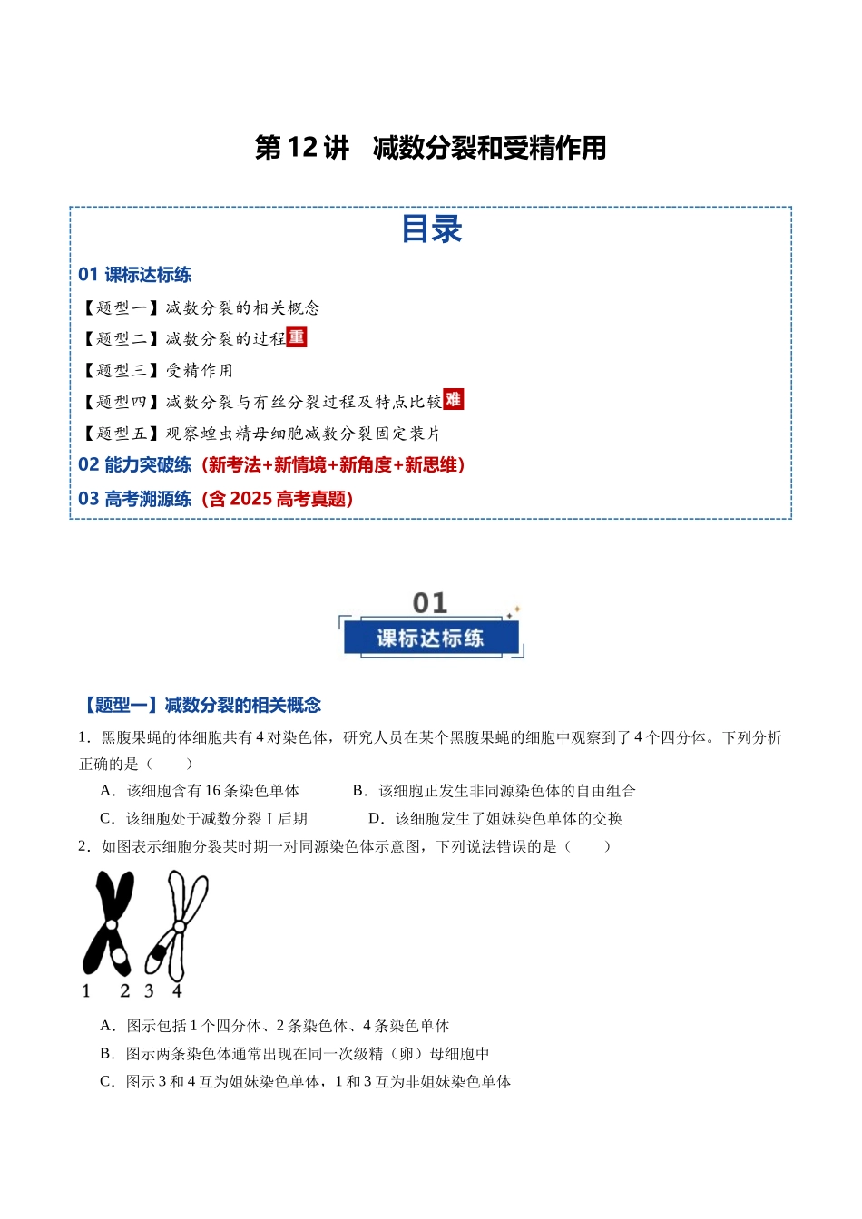 第12讲 减数分裂和受精作用（专项训练）（黑吉辽蒙专用）（学生版）.docx_第1页