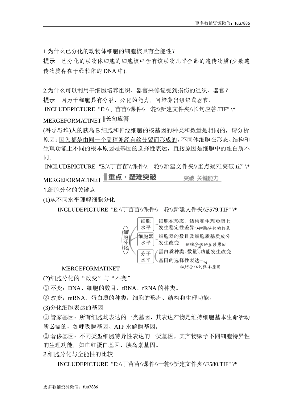 第12讲 细胞的分化、衰老和死亡.doc_第3页