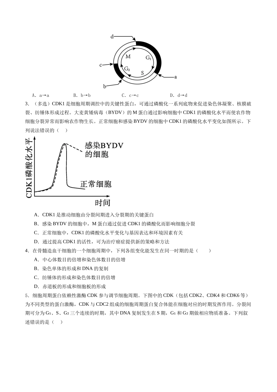第12讲 细胞的增殖（专项训练）（学生版） .docx_第2页