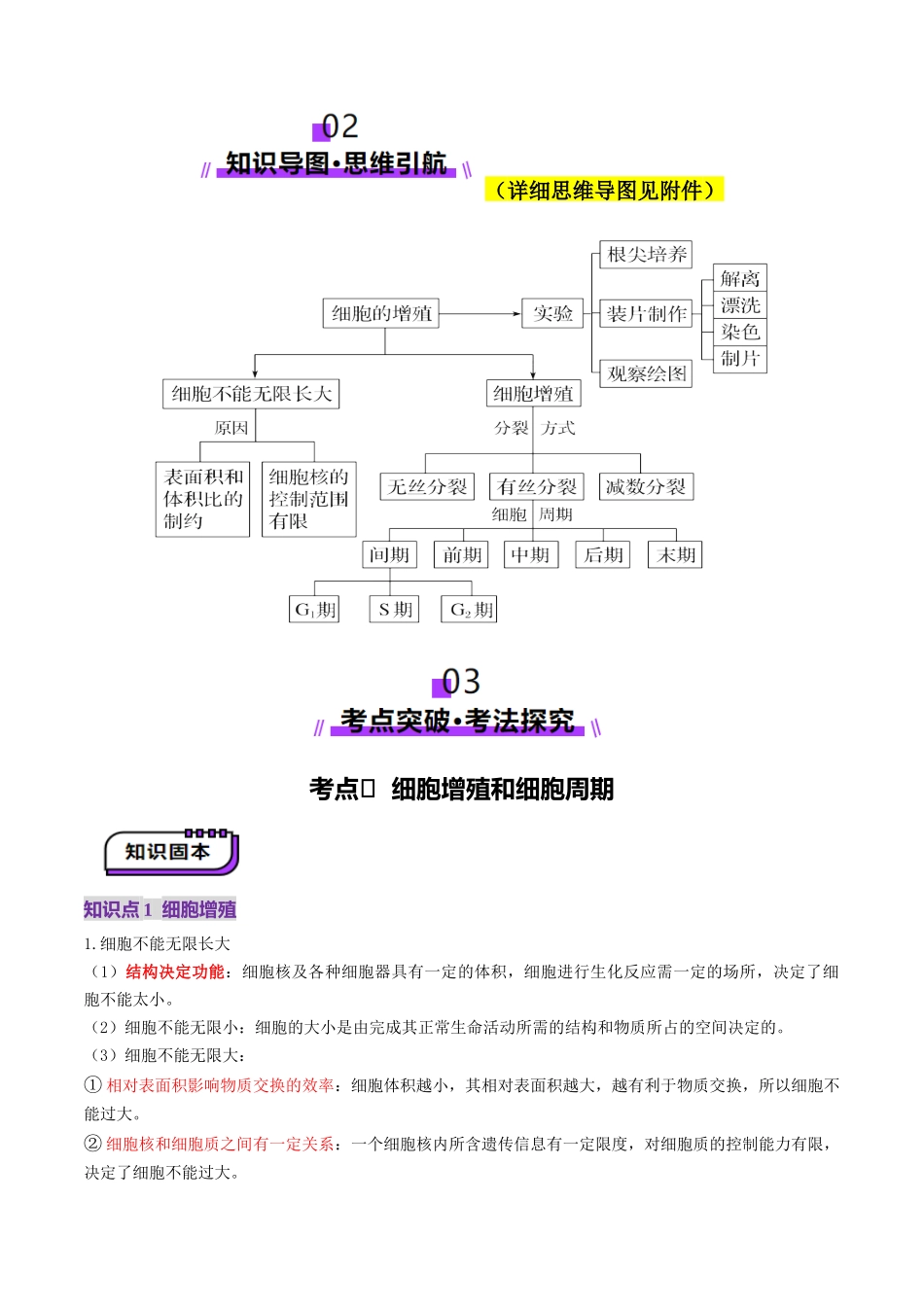 第12讲 细胞增殖(讲义)(教师版).docx_第3页