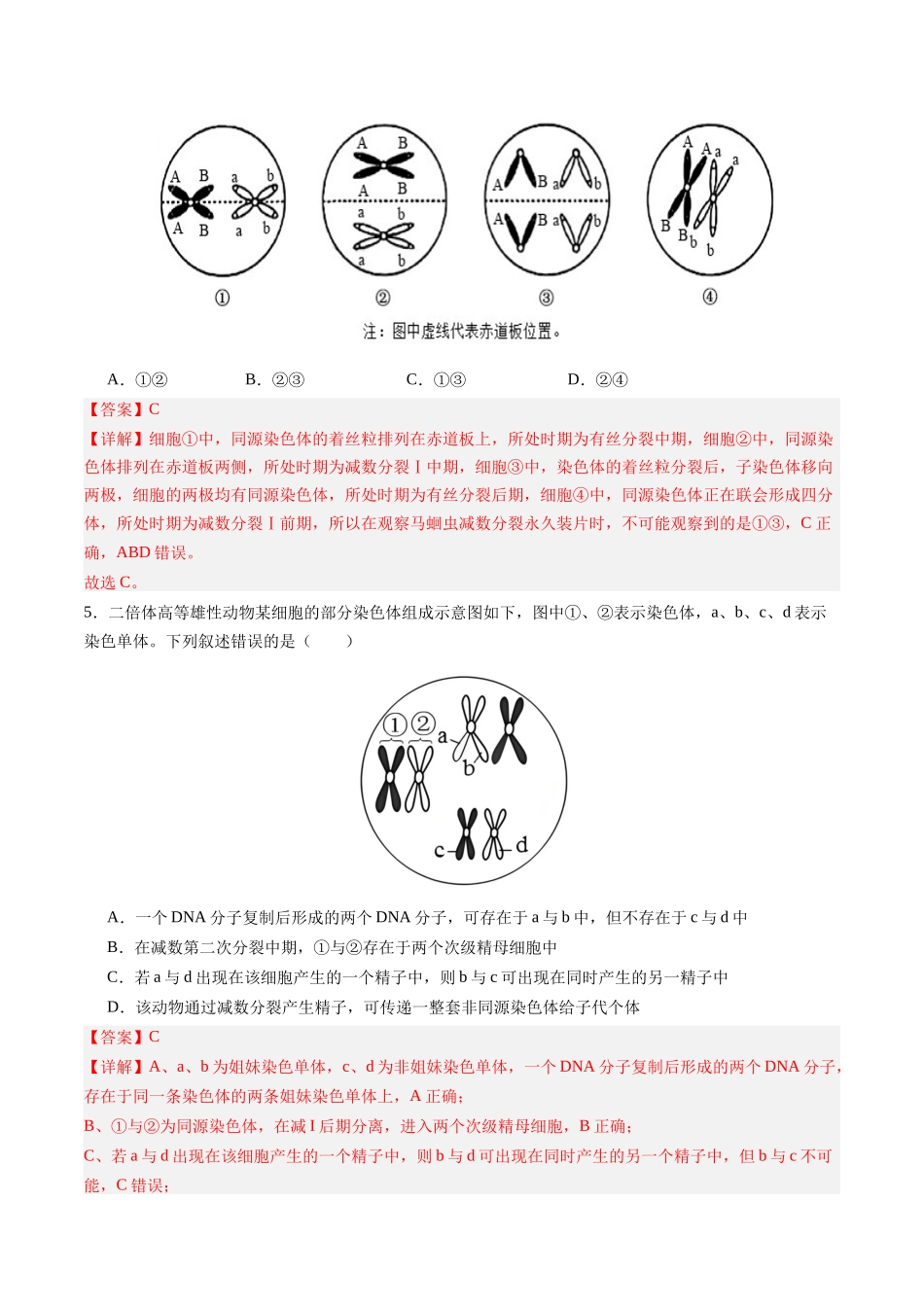 第13讲  减数分裂和受精作用（专项训练）（四川专用）（教师版）.docx_第3页