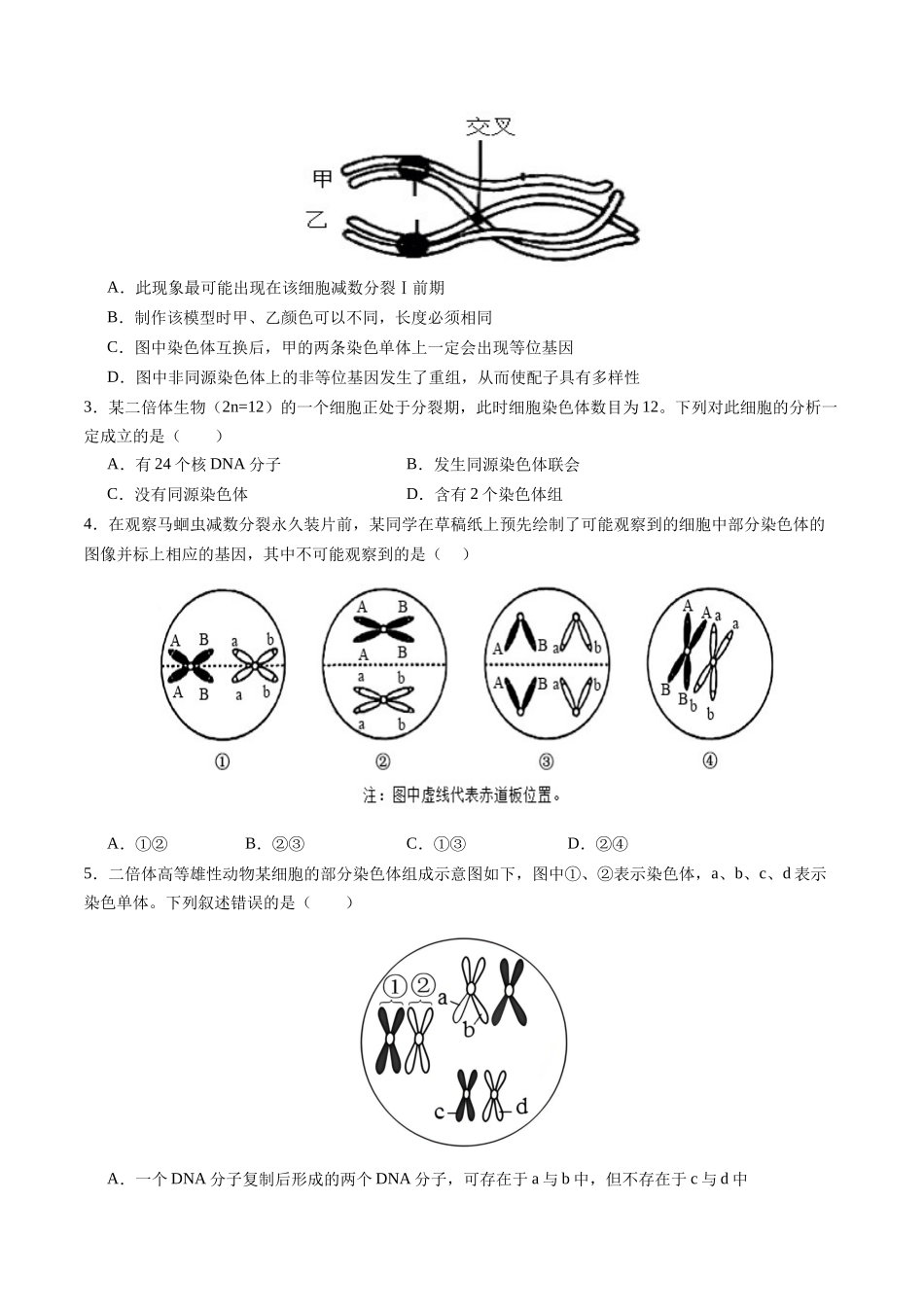 第13讲 减数分裂和受精作用(专项训练)(四川专用)(学生版).docx_第2页