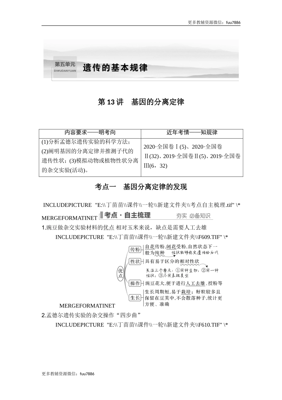 第13讲 基因的分离定律.doc_第1页