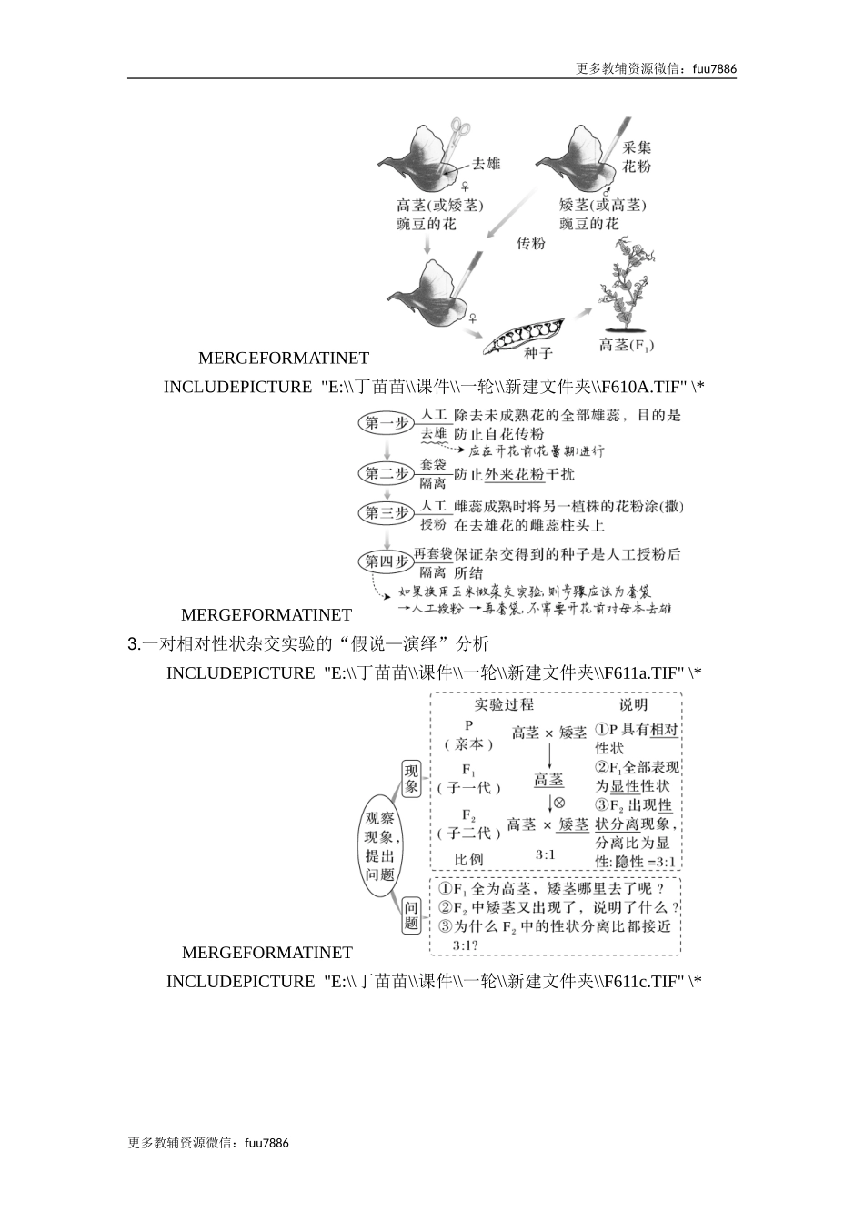 第13讲 基因的分离定律.doc_第2页