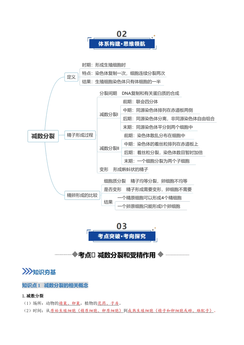 第13讲 减数分裂和受精作用（复习讲义）（全国通用）（教师版）.docx_第3页