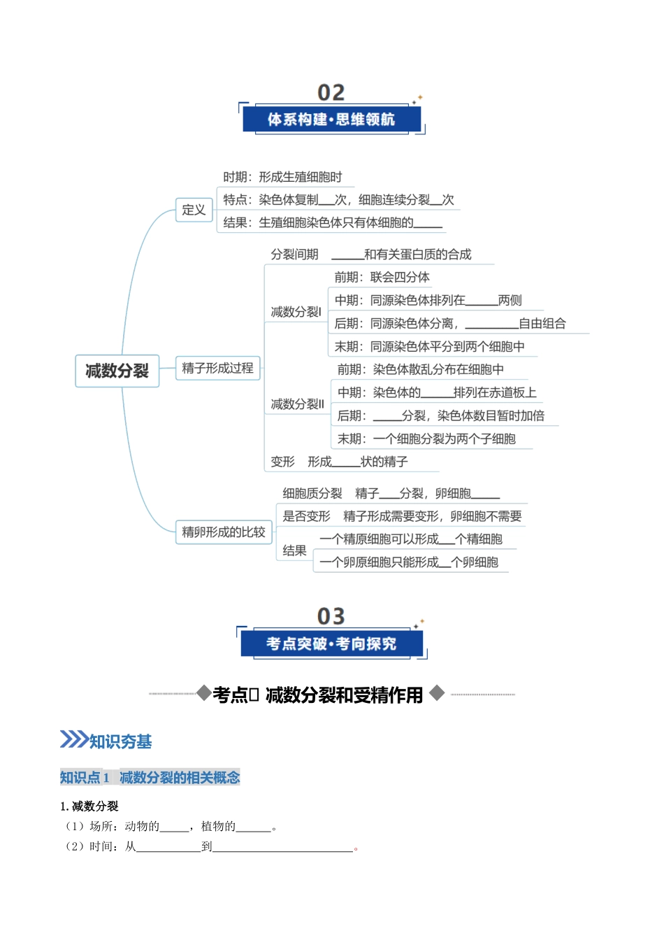 第13讲 减数分裂和受精作用（复习讲义）（全国通用）（学生版）.docx_第3页