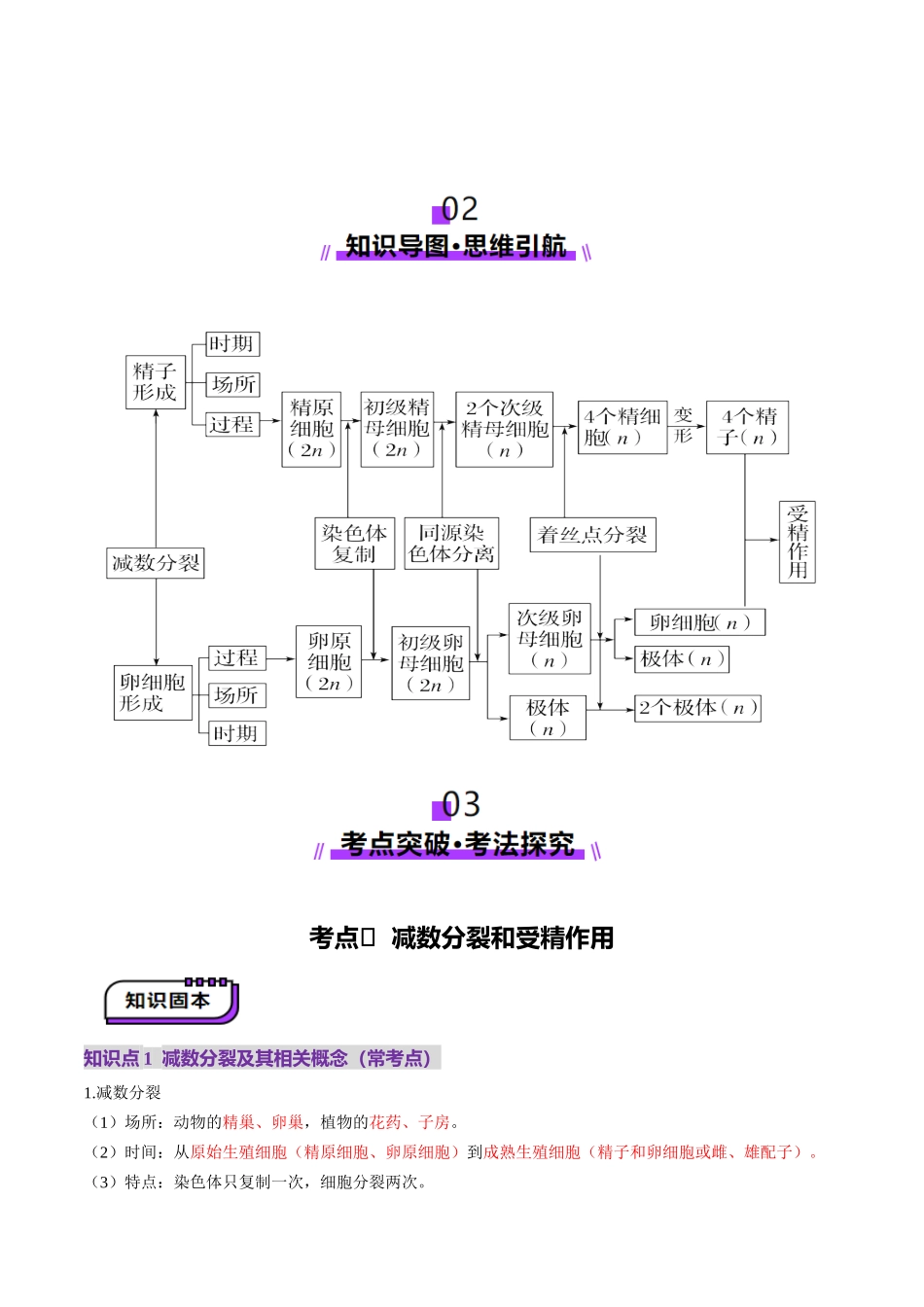 第13讲 减数分裂和受精作用(讲义)(教师版).docx_第3页