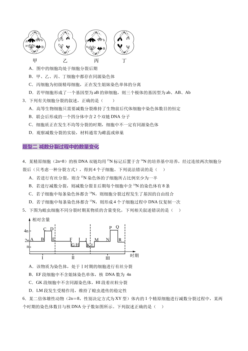 第13讲 减数分裂和受精作用（练习）（学生版）.docx_第2页