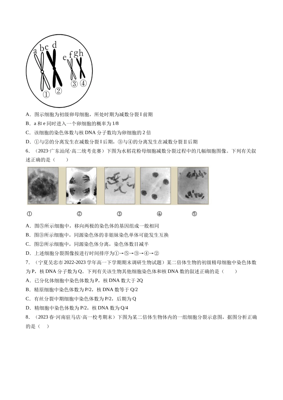 第13讲 减数分裂和受精作用（练习）（原卷版）.docx_第2页