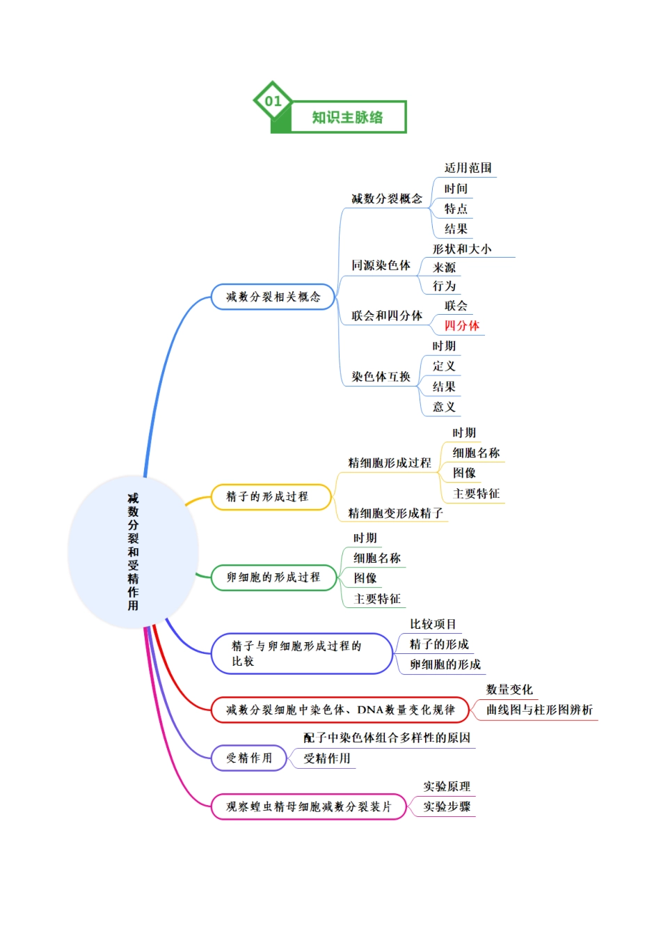第13讲 减数分裂和受精作用（知识清单）（全国通用）（学生版）.docx_第2页