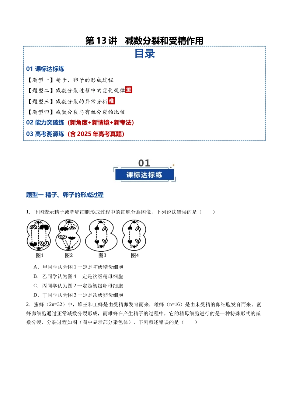 第13讲 减数分裂和受精作用(专项训练)(学生版) .docx_第1页