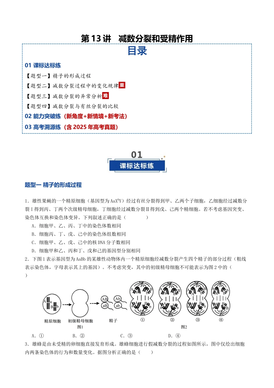 第13讲 减数分裂和受精作用（专项训练）（学生版）.docx_第1页