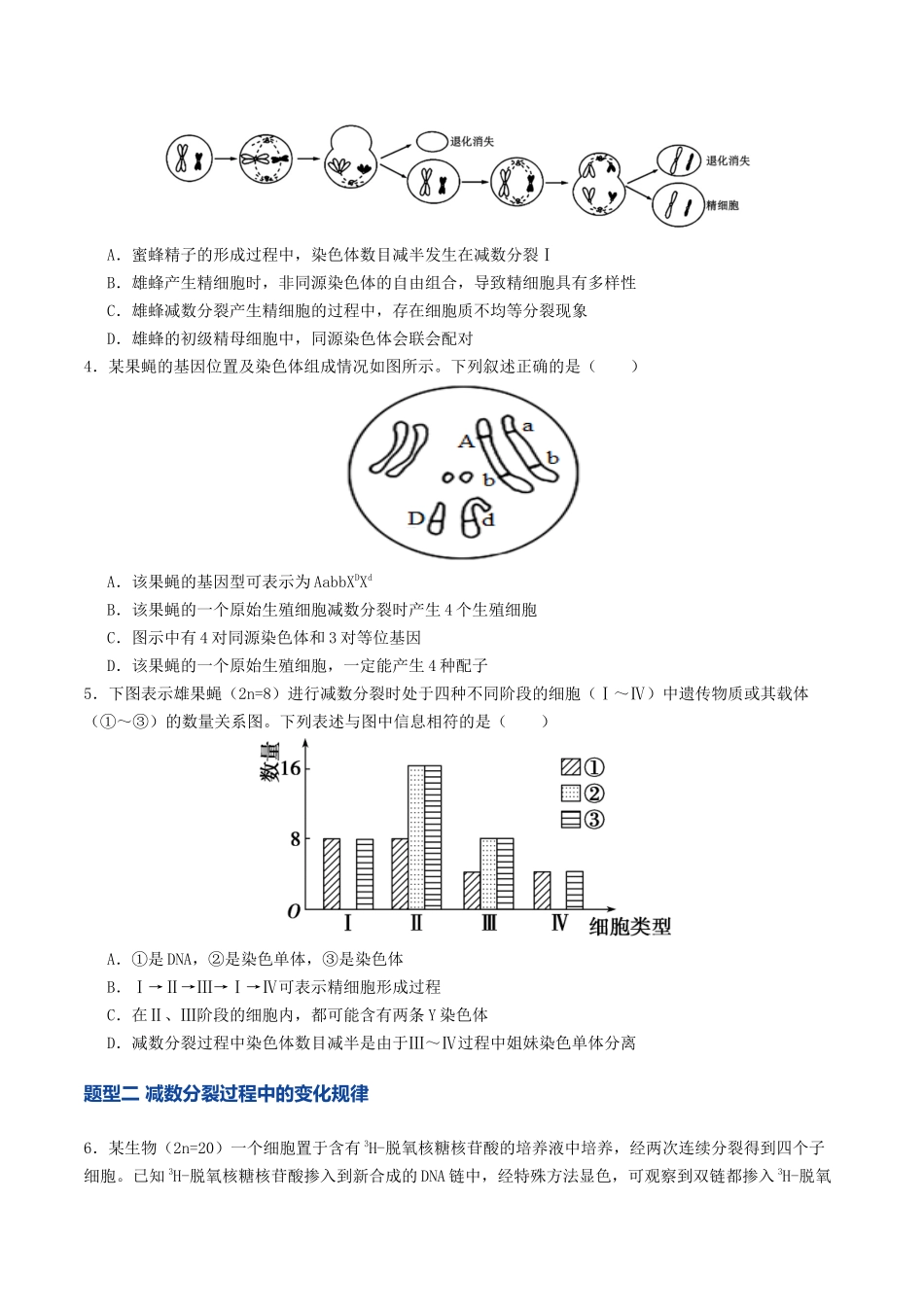 第13讲 减数分裂和受精作用（专项训练）（学生版）.docx_第2页