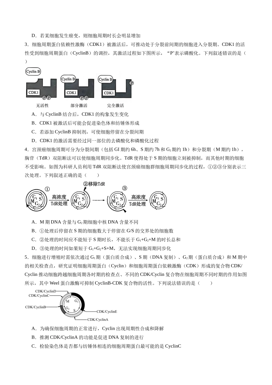 第13讲 细胞增殖(专项训练)(福建专用)(学生版).docx_第2页