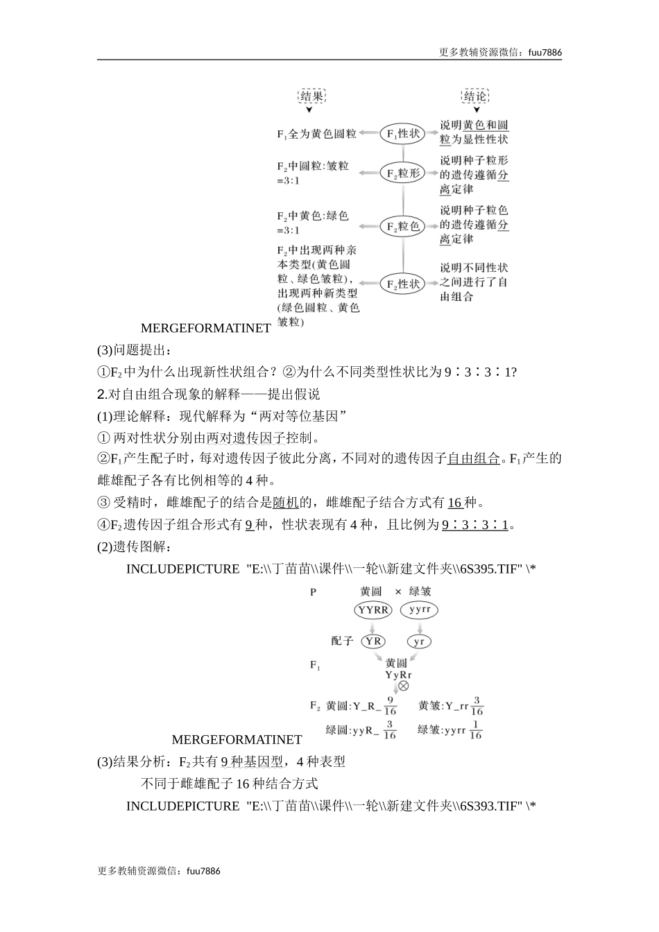 第14讲 基因的自由组合定律.doc_第2页