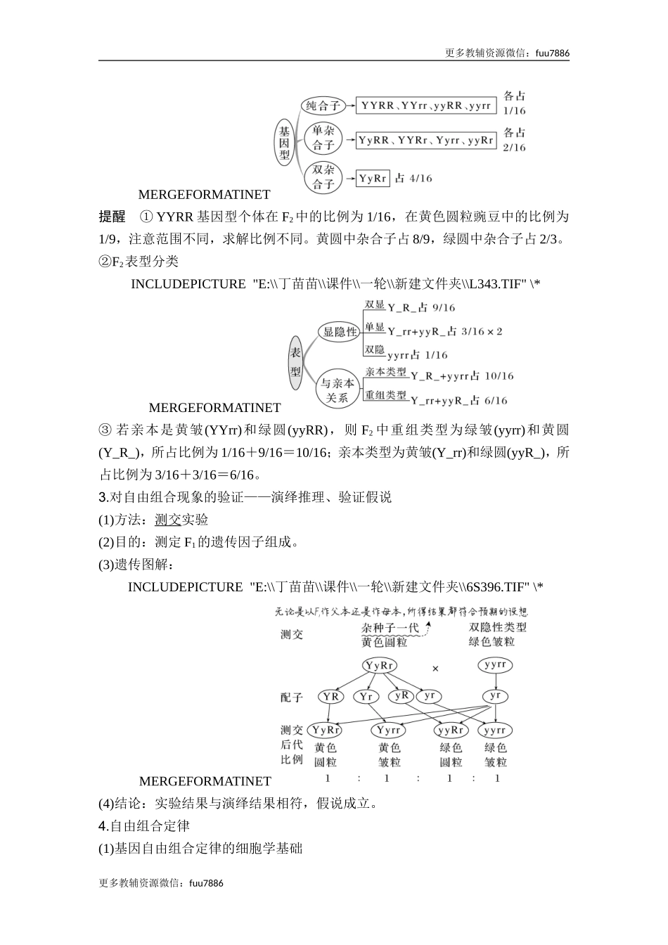 第14讲 基因的自由组合定律.doc_第3页