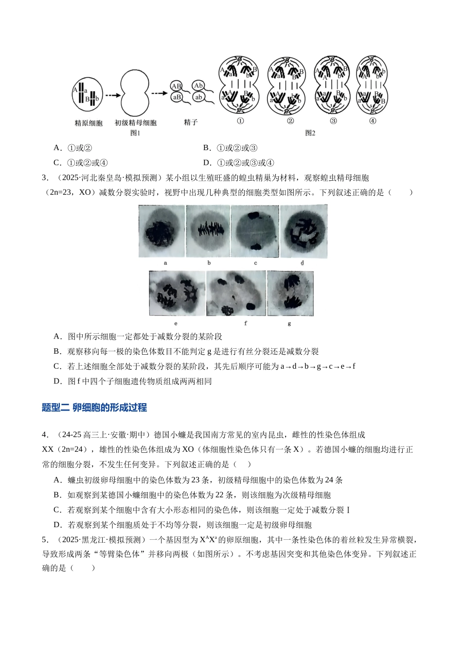 第14讲 减数分裂和受精作用（专项训练）（安徽专用）（学生版）.docx_第2页
