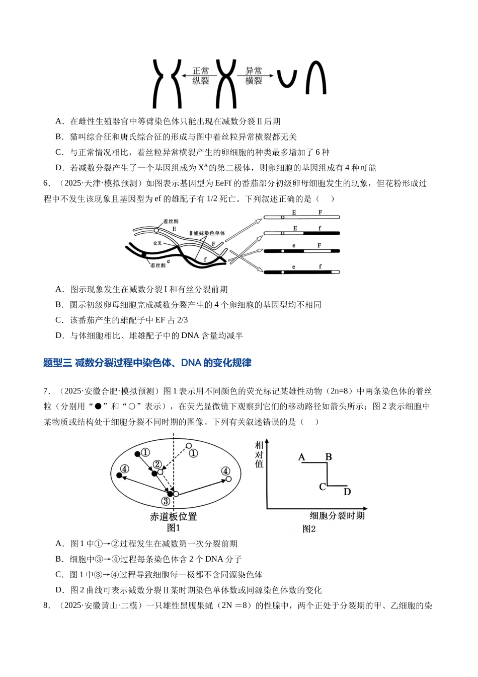第14讲 减数分裂和受精作用（专项训练）（安徽专用）（学生版）.docx_第3页