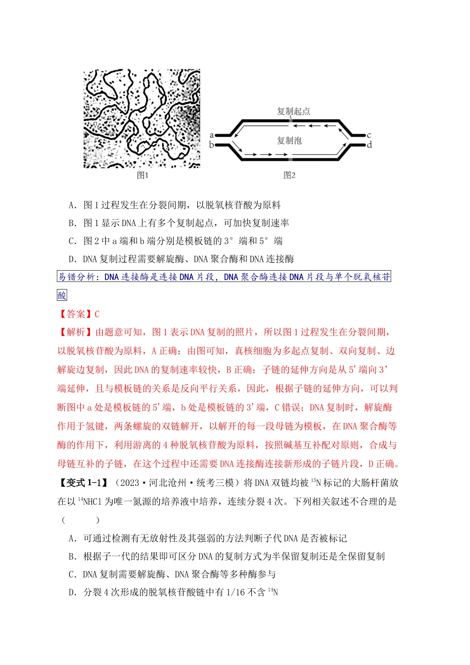易错点09 基因表达的“三个”理解误区(教师版).docx_第2页