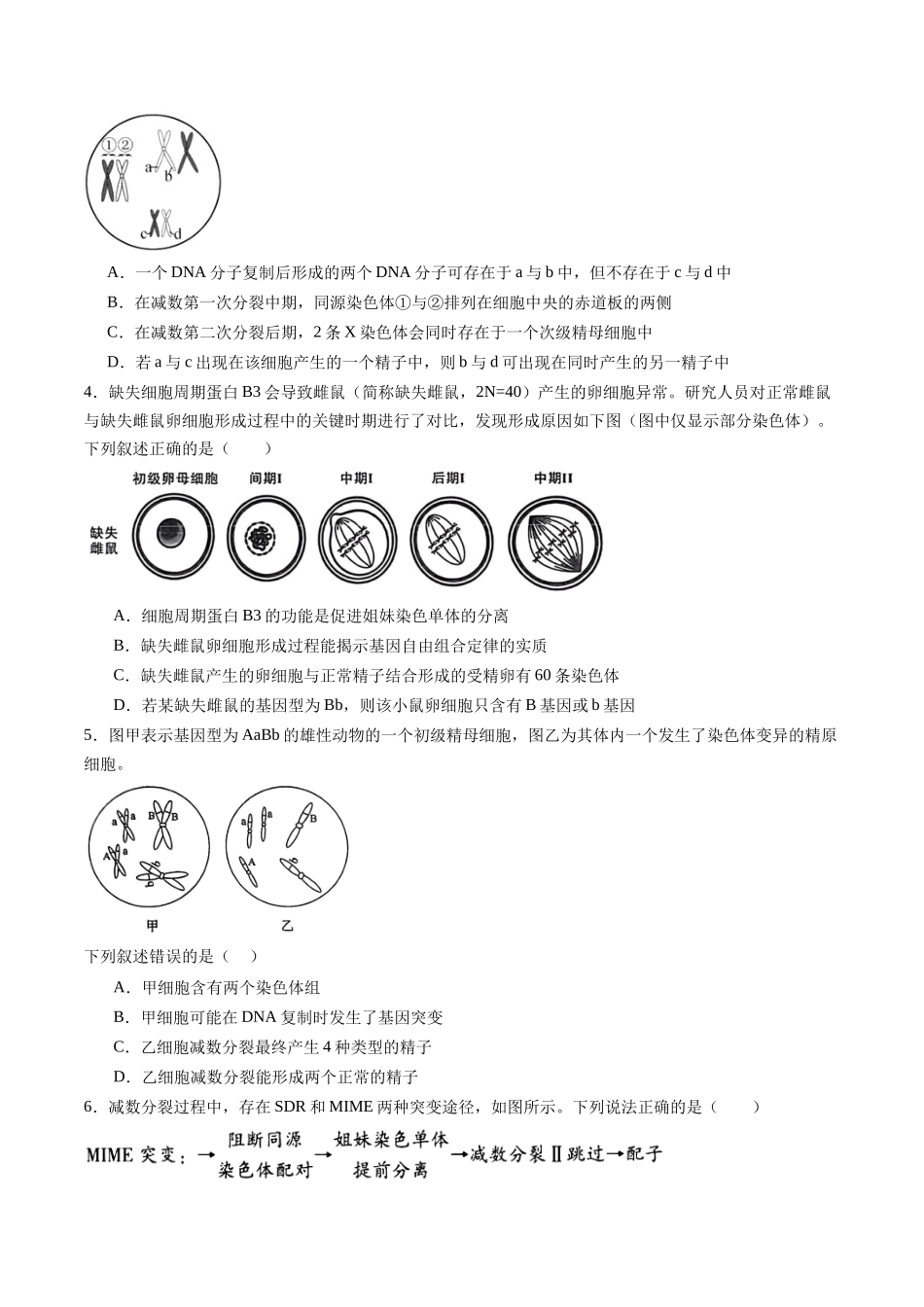 第14讲 减数分裂和受精作用(专项训练)(福建专用)(学生版).docx_第2页