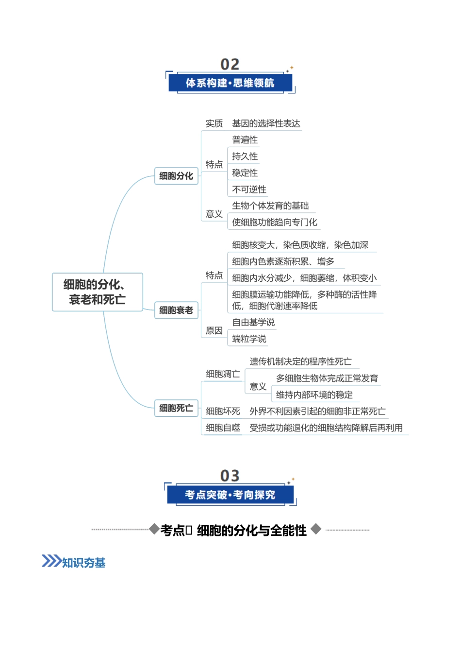 第14讲 细胞的分化、衰老和死亡(复习讲义)(全国通用)(教师版).docx_第3页