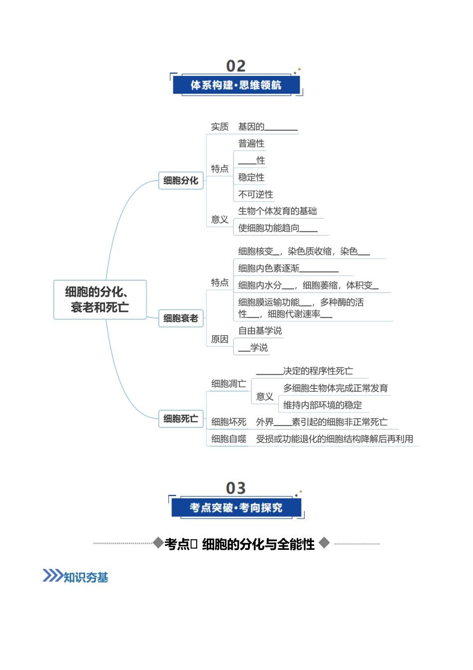 第14讲 细胞的分化、衰老和死亡(复习讲义)(全国通用)(学生版).docx_第3页