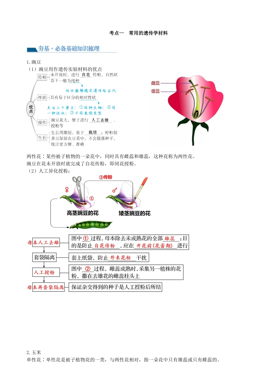 第15讲 遗传的基础知识(讲义)(教师版).docx_第2页