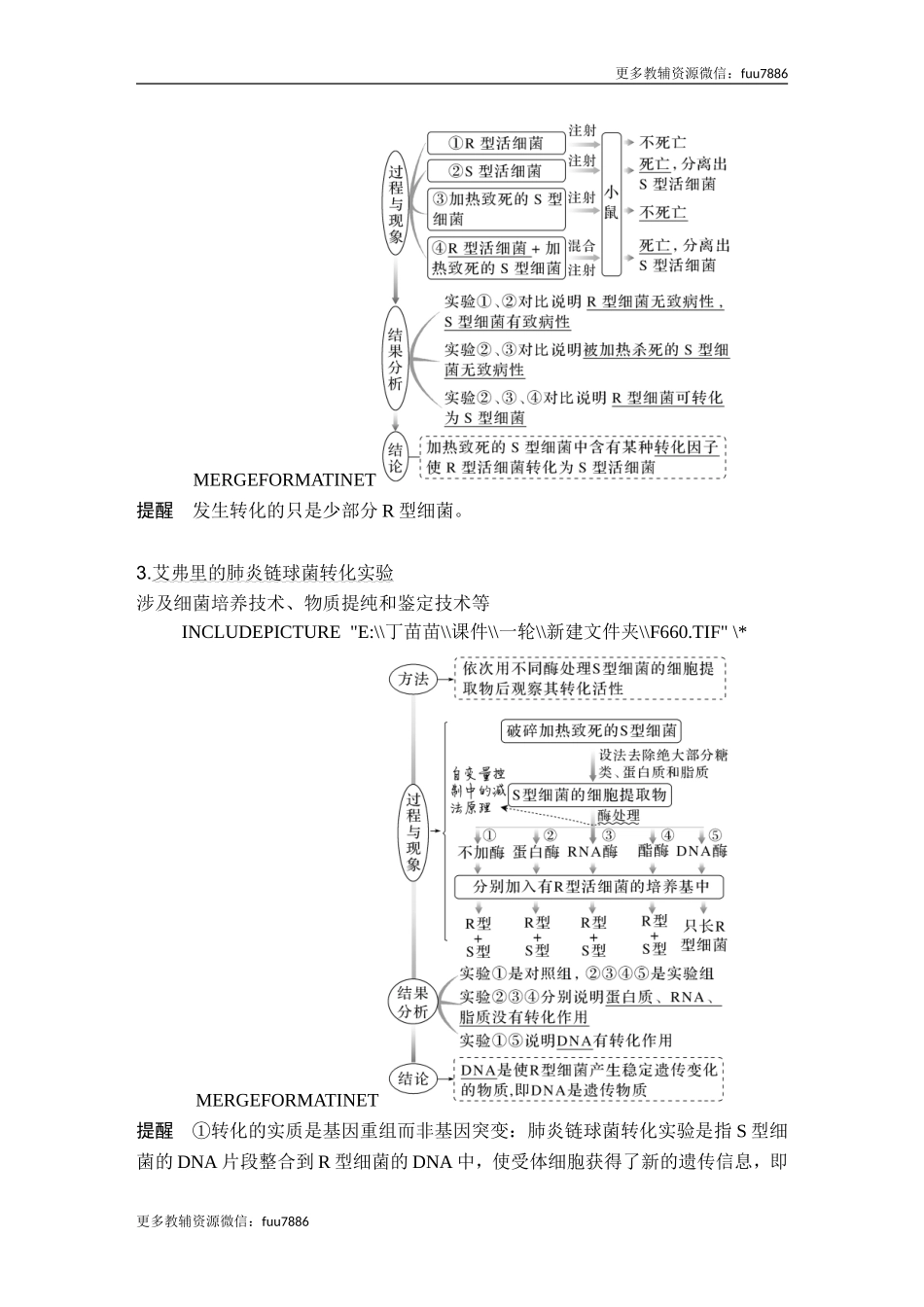 第16讲 DNA是主要的遗传物质.doc_第2页