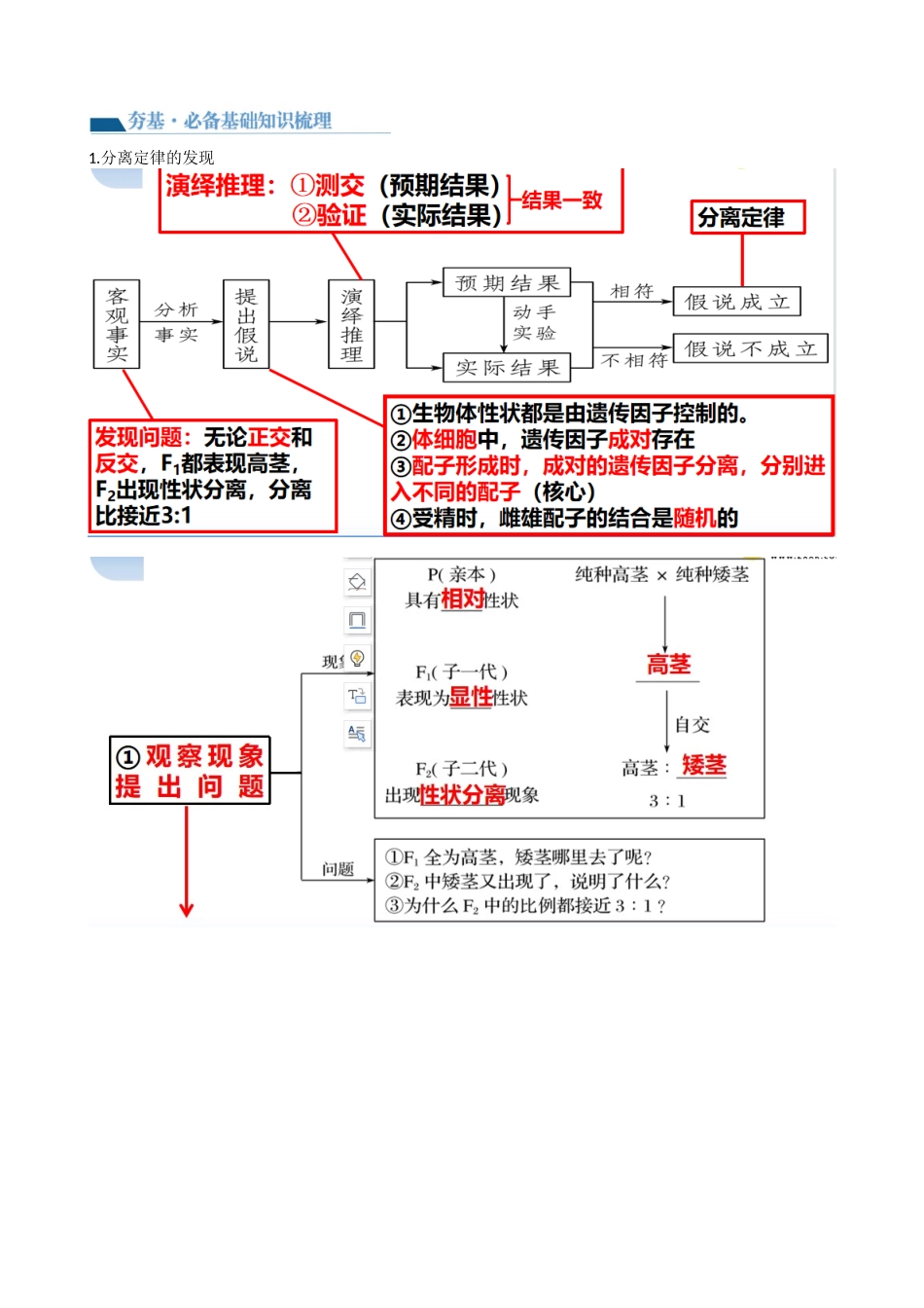第16讲 基因的分离定律(讲义)(教师版).docx_第2页
