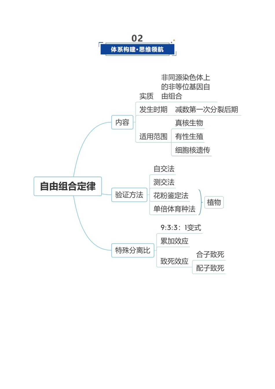 第16讲 自由组合定律（复习讲义）（全国通用）（教师版）.docx_第3页