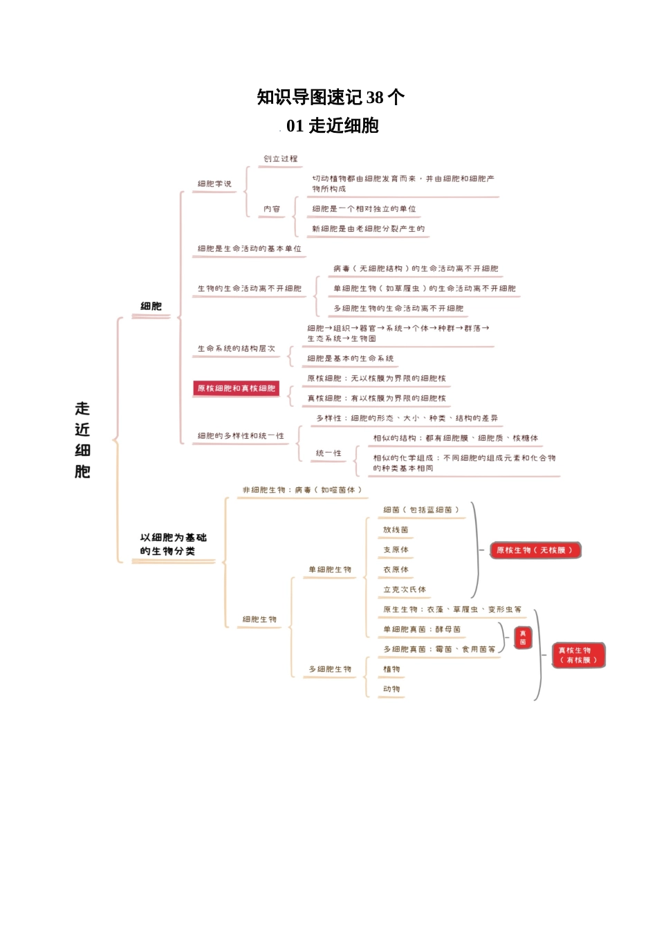 知识导图速记38个.docx_第1页