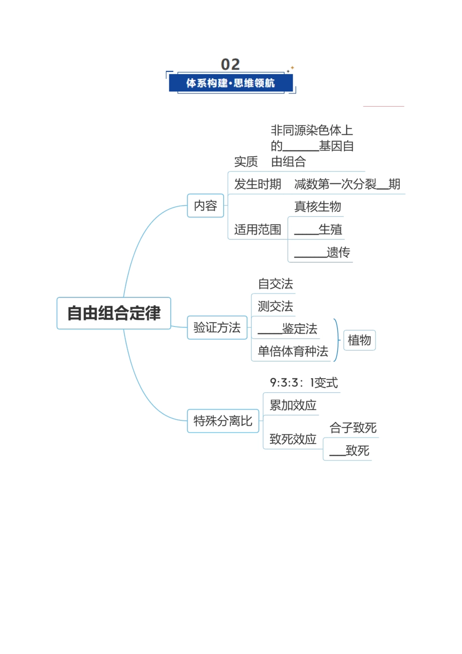 第16讲 自由组合定律（复习讲义）（全国通用）（学生版）.docx_第3页