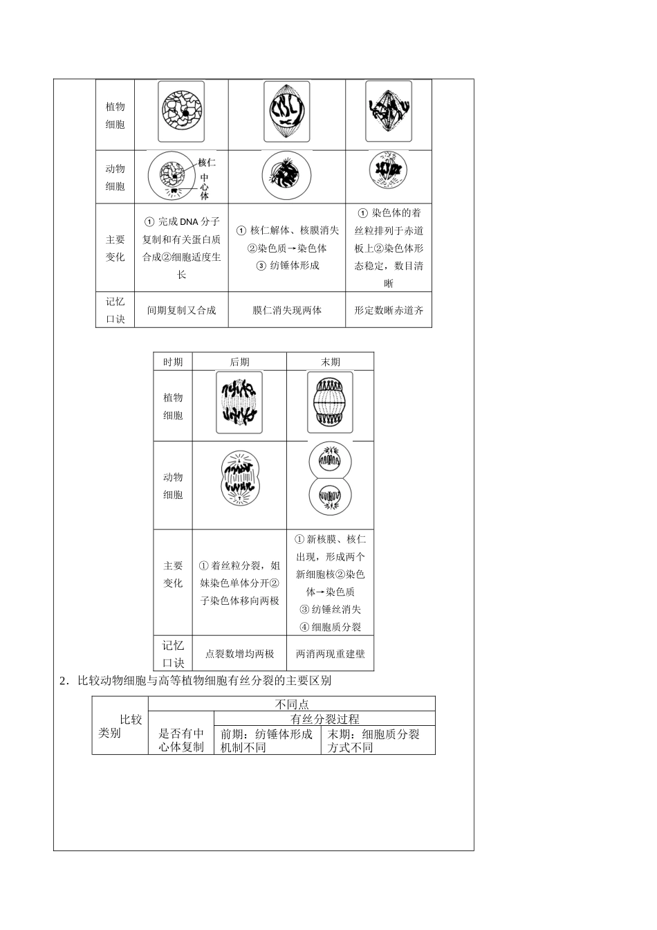 知识清单08 细胞的增殖(4大考点+5个易错点).docx_第3页