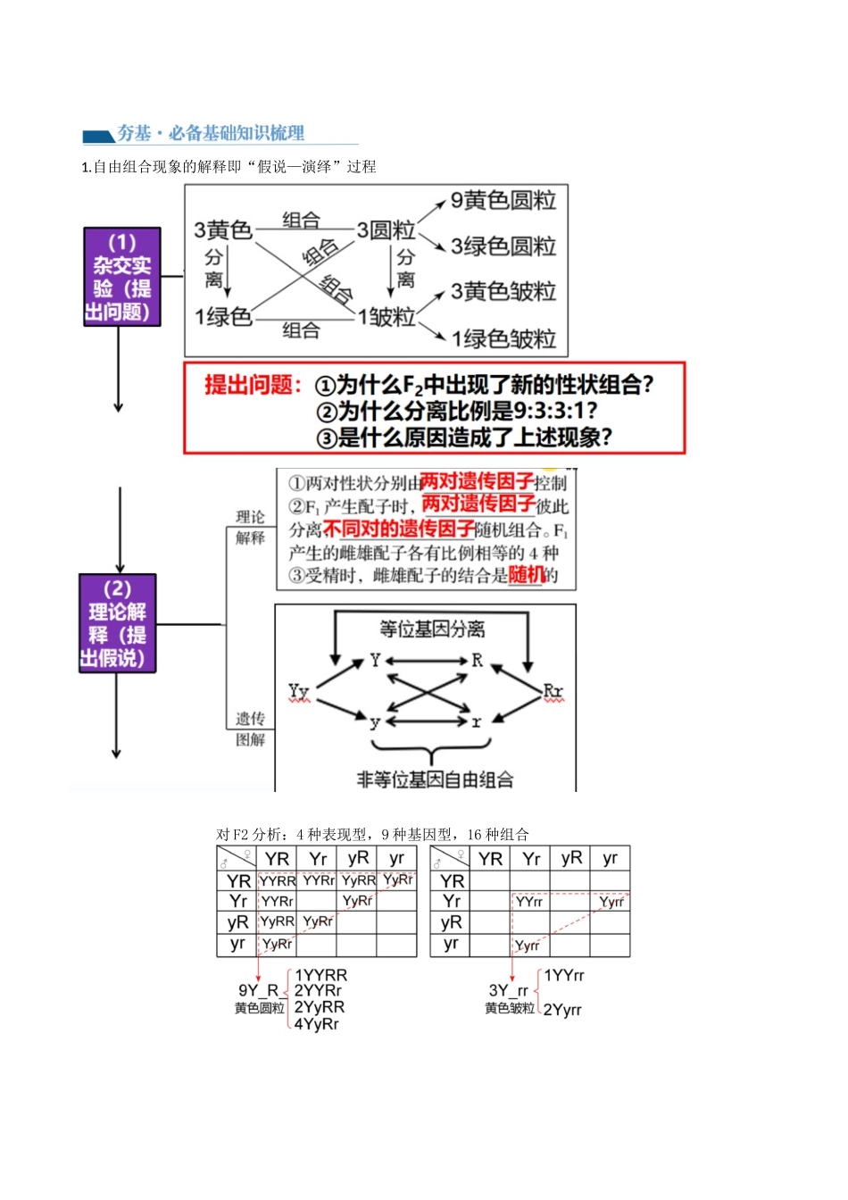 第17.1讲 基因的自由组合定律（讲义）（教师版）.docx_第2页