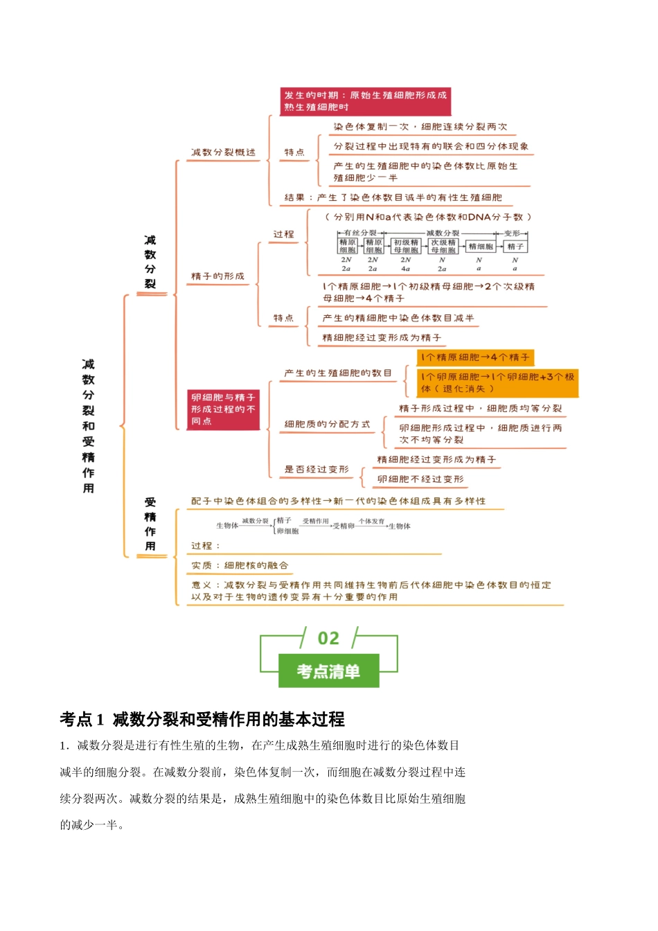 知识清单10 减数分裂和受精作用（3大考点+4个易错点）.docx_第2页
