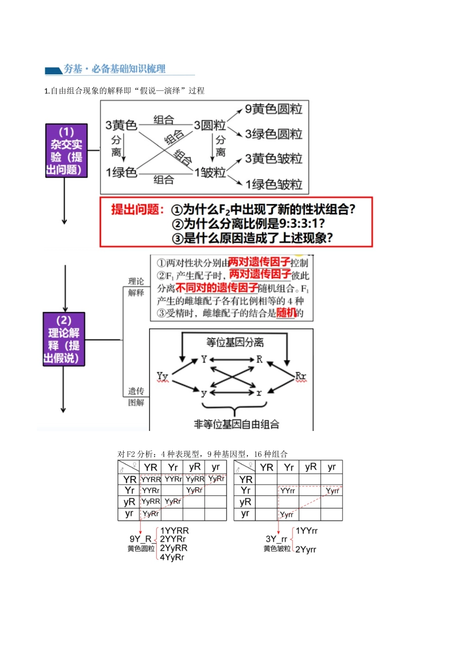 第17.1讲 基因的自由组合定律（讲义）（学生版）.docx_第2页