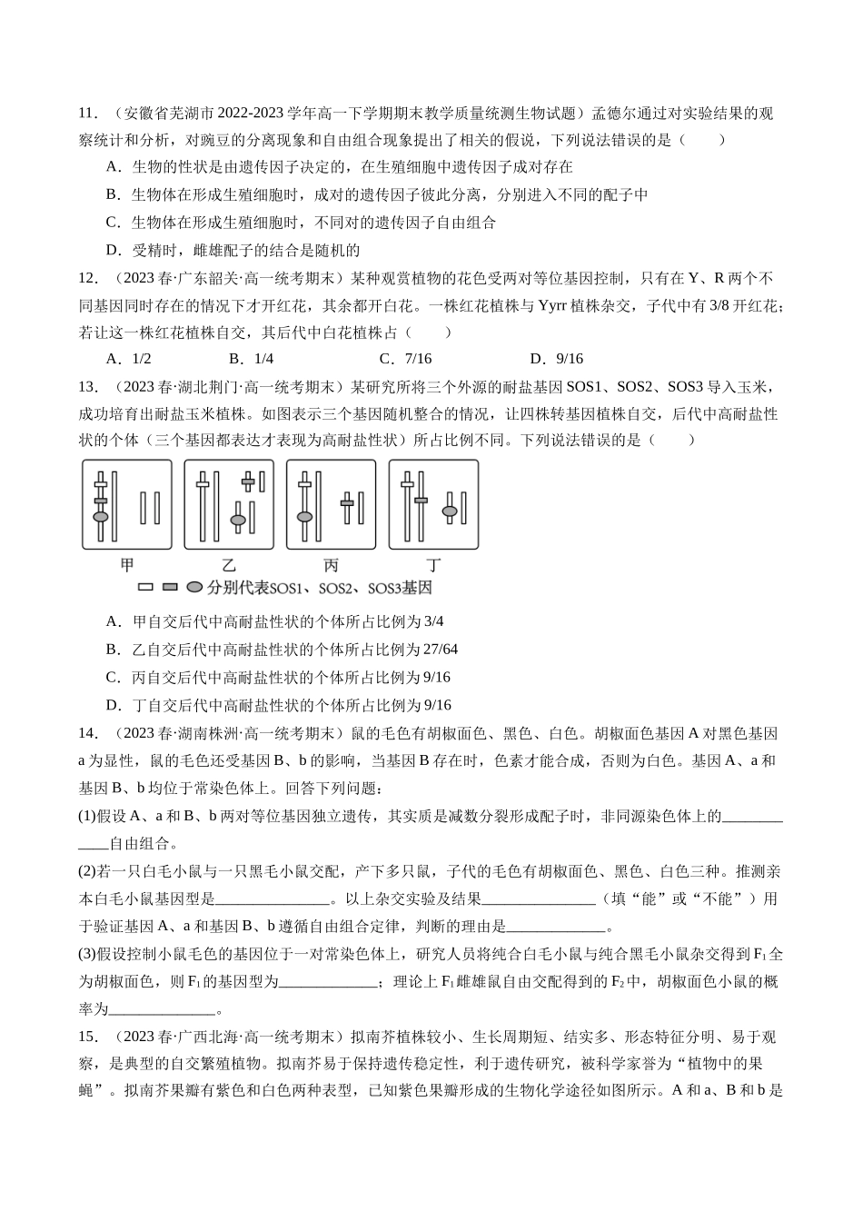 第17.1讲 基因的自由组合定律(练习)(原卷版).docx_第3页