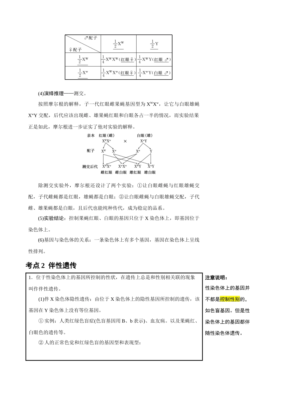 知识清单13 伴性遗传和人类遗传病(4大考点+6个易错点).docx_第3页