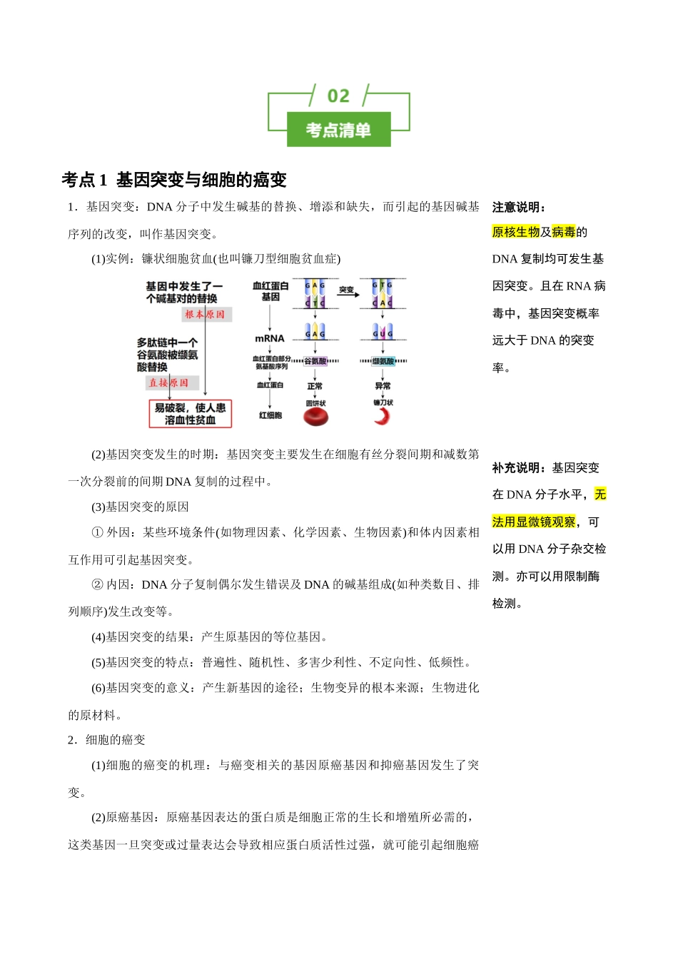 知识清单17 基因突变及其他变异（4大考点+10个易错点）.docx_第2页