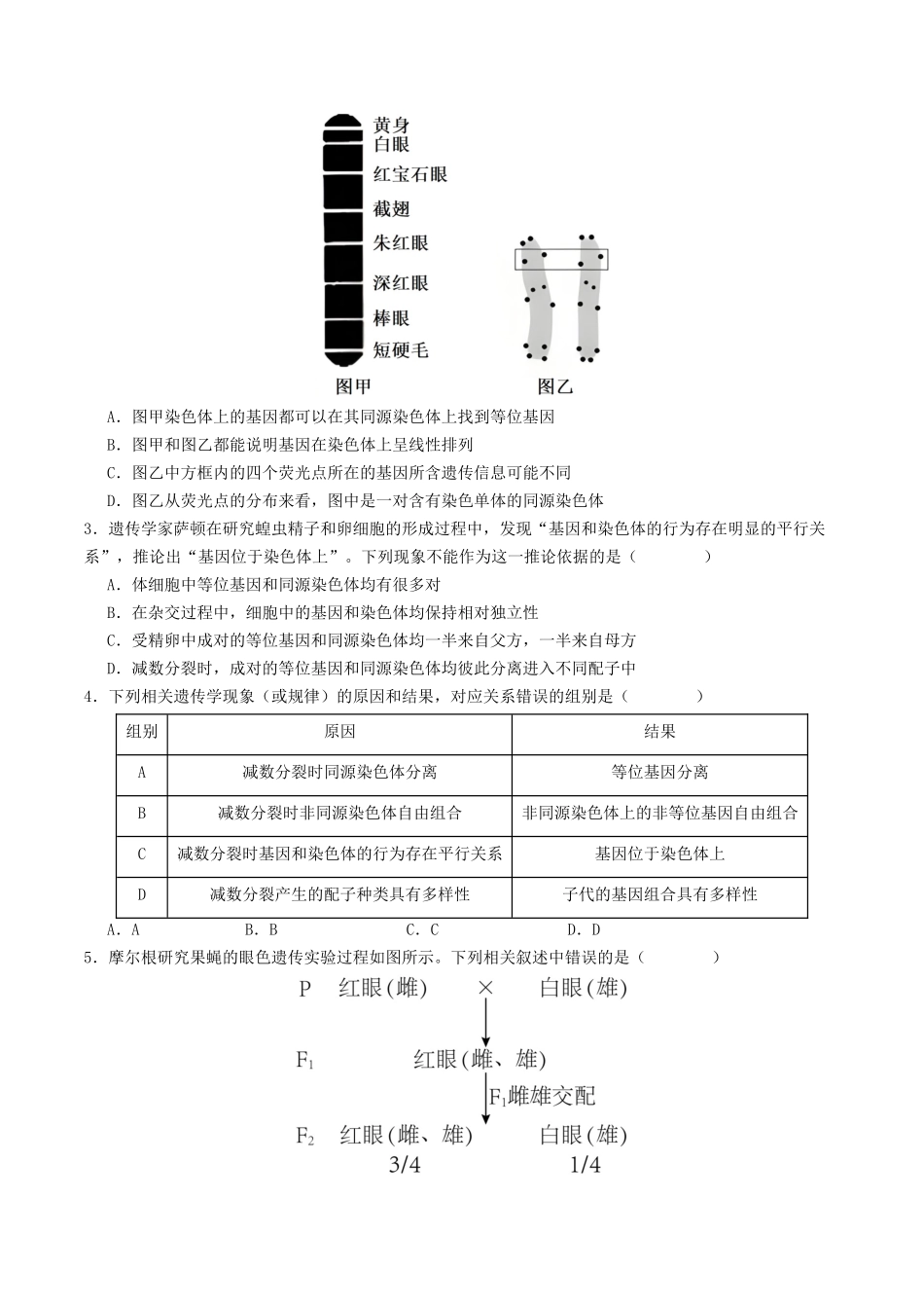 第17讲 伴性遗传和人类遗传病(专项训练)(学生版) .docx_第2页
